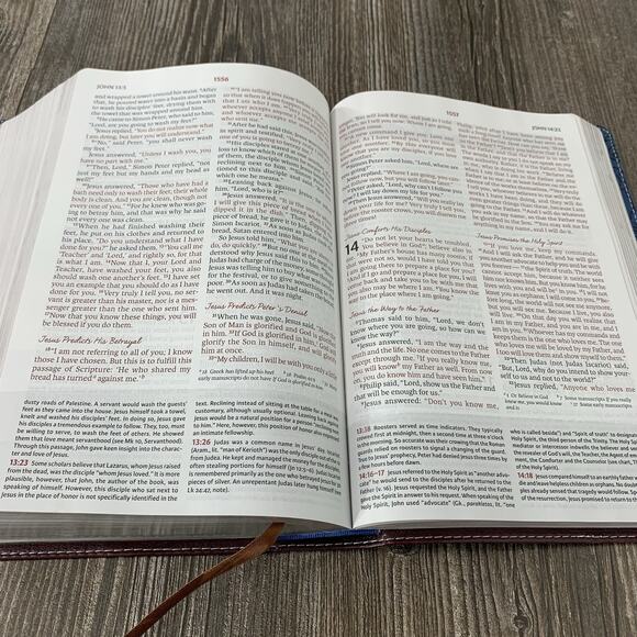 NIV, The Woman's Study - Imitation Leather, by Thomas Nelson; Patterson - Good - Picture 11 of 11